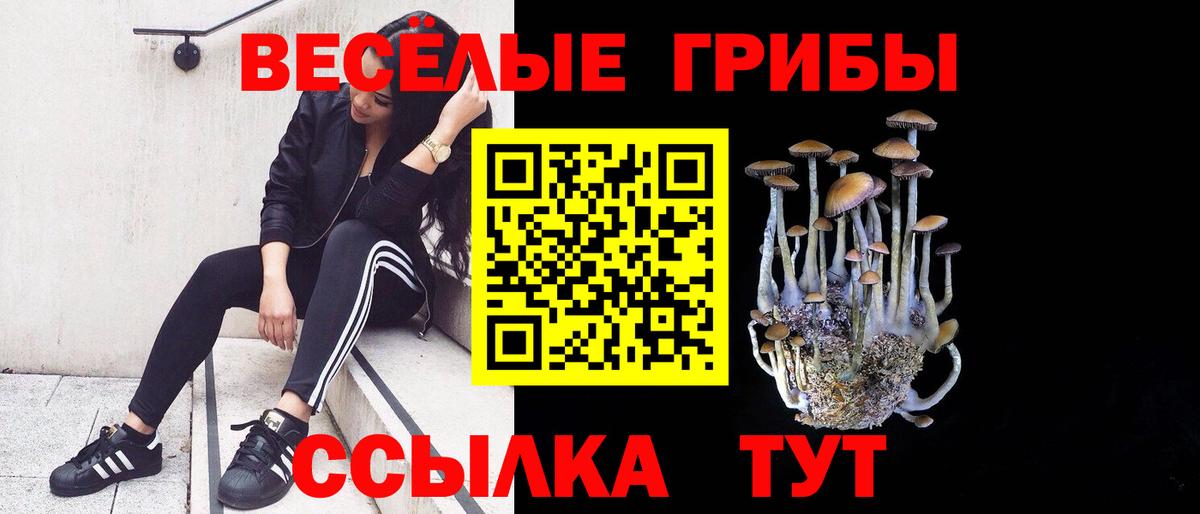 Галлюциногенные грибы MAGIC MUSHROOMS Строитель