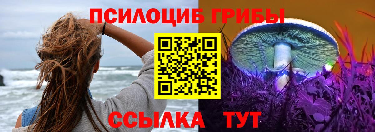 Строитель  Псилоцибиновые грибы Psilocybe  наркотики  Вход с VPN 